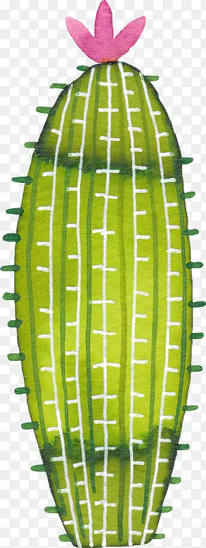 小清新插画广告设计卡通仙人掌