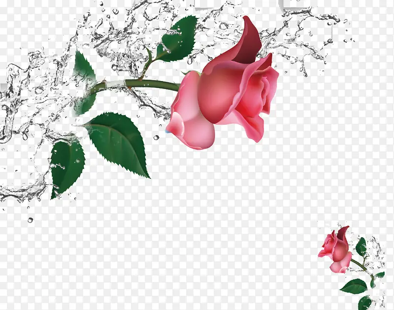 水花和玫瑰