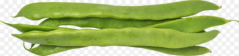 绿色芸豆