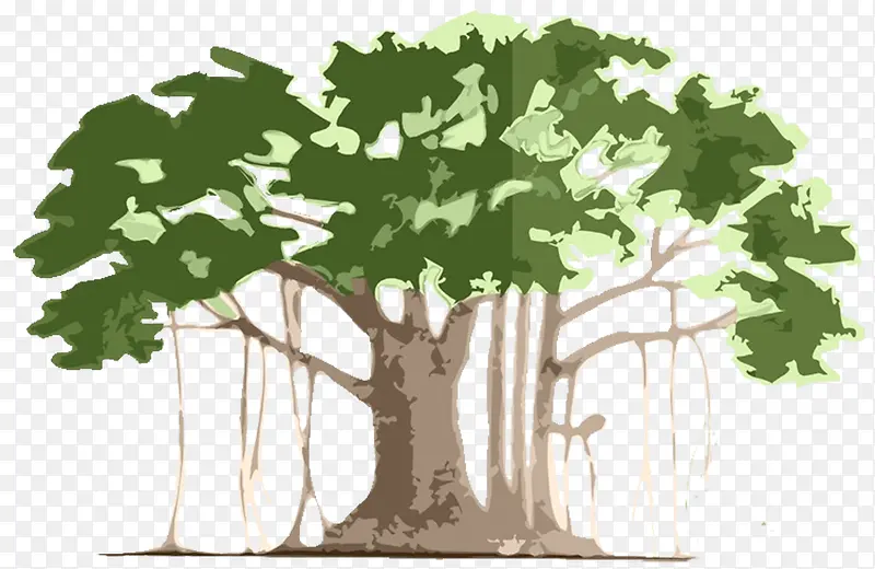 手绘绿色环保孟加拉古榕树矢量图