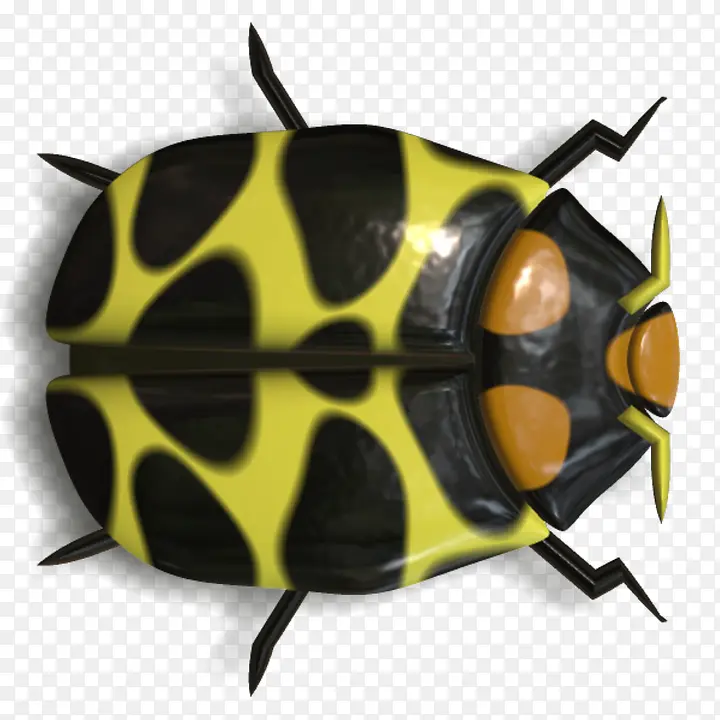 黄色甲壳虫