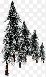创意合成效果冬天下雪的松树