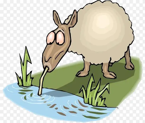 羊在小水坑喝水