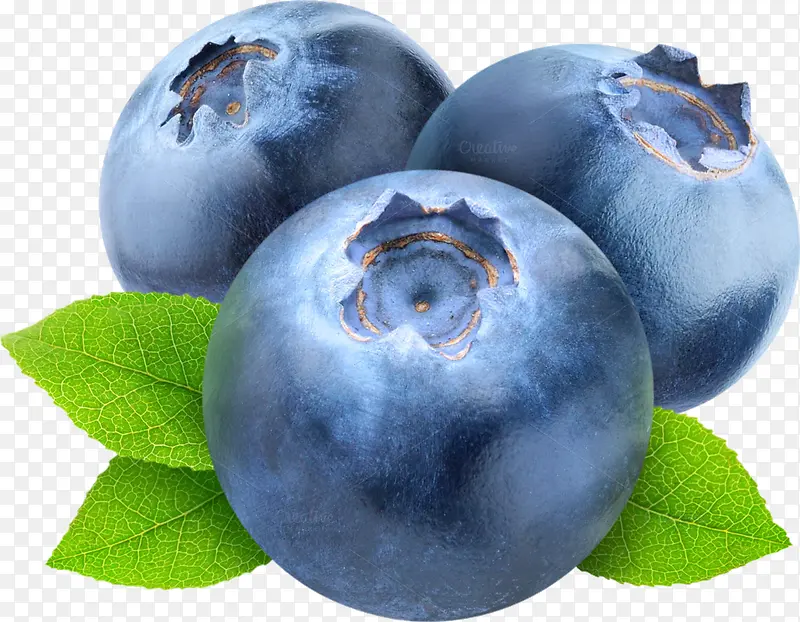 大粒蓝莓素材