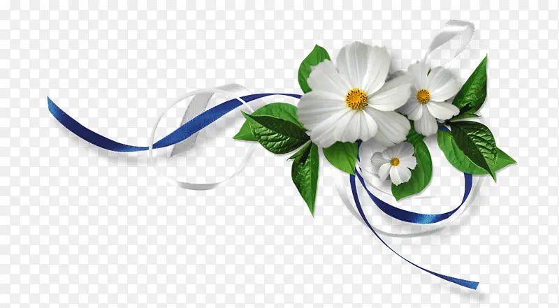 白色花朵花枝菊花花朵