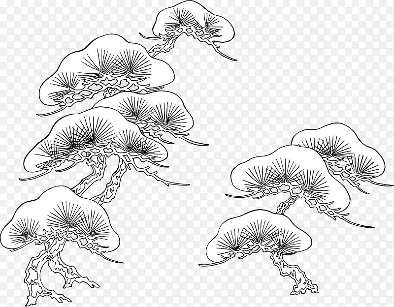 云杉矢量