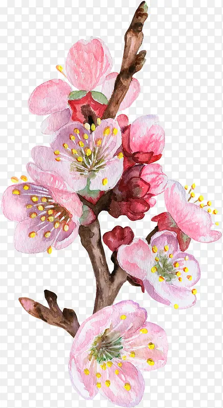 卡通手绘美丽的桃花