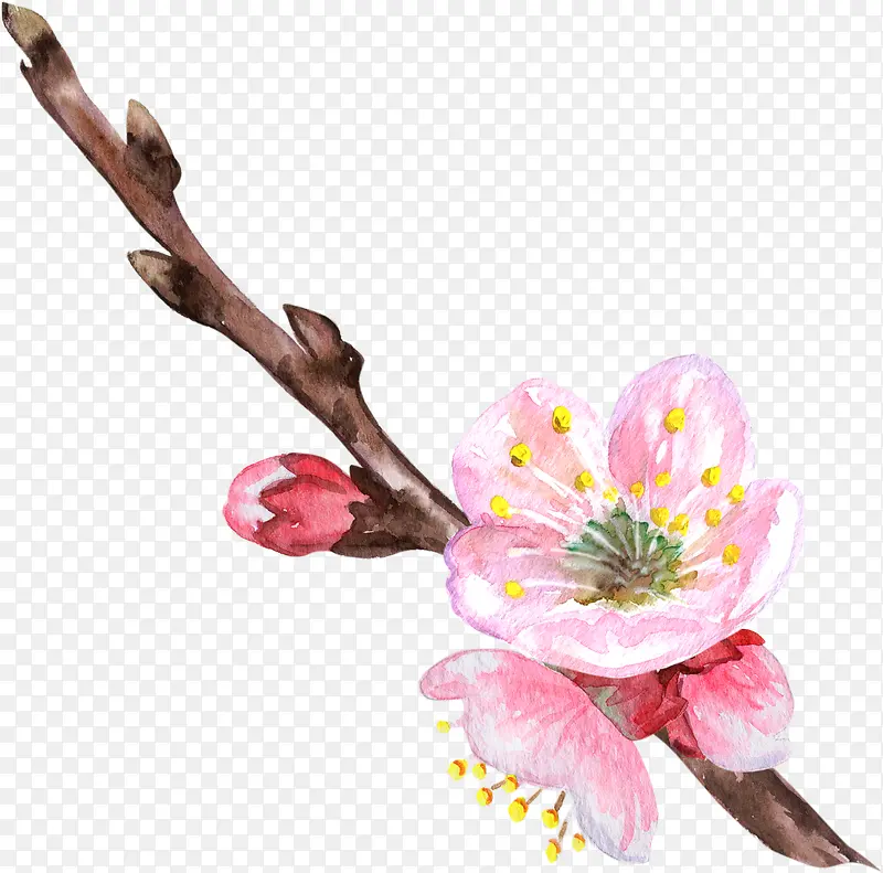 卡通手绘美丽的桃花