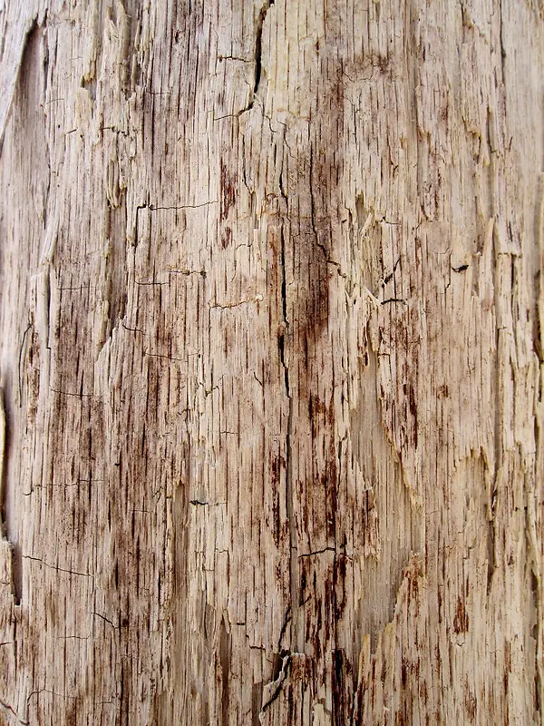 腐烂的木头背景