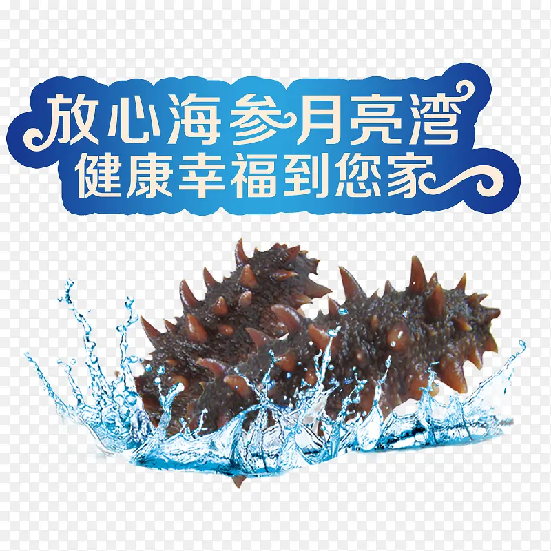 海参PNG图片素材下载_图片编号9089939-PNG素材网