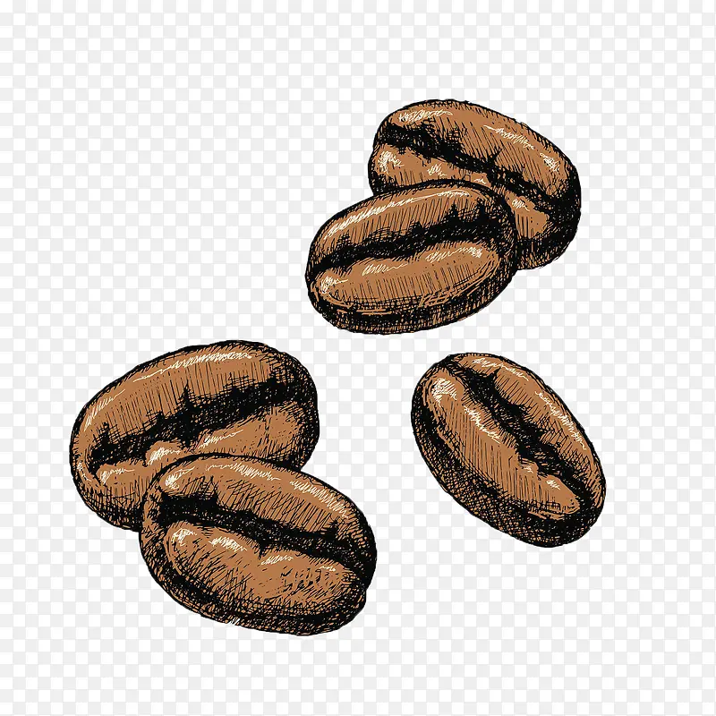 手绘猫屎咖啡豆