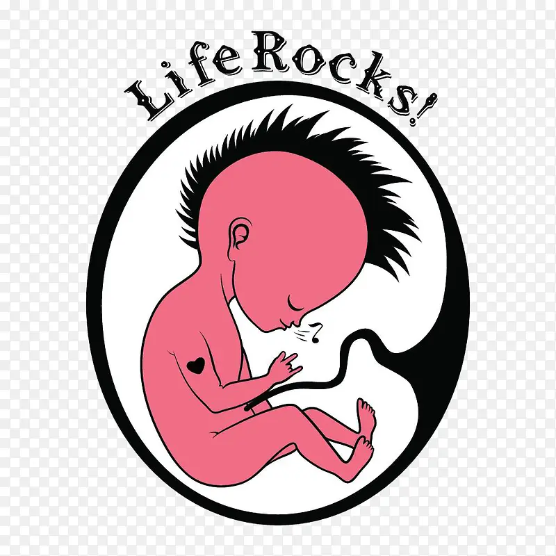 胚胎里的婴儿