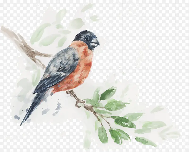 手绘装饰插图树枝上的鸟儿