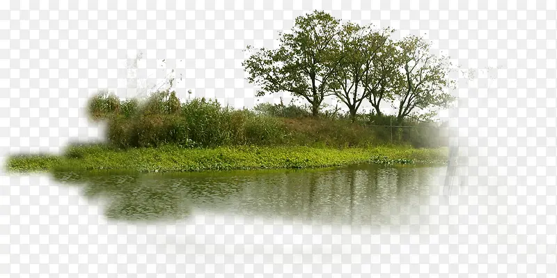 野生湿地公园湖边