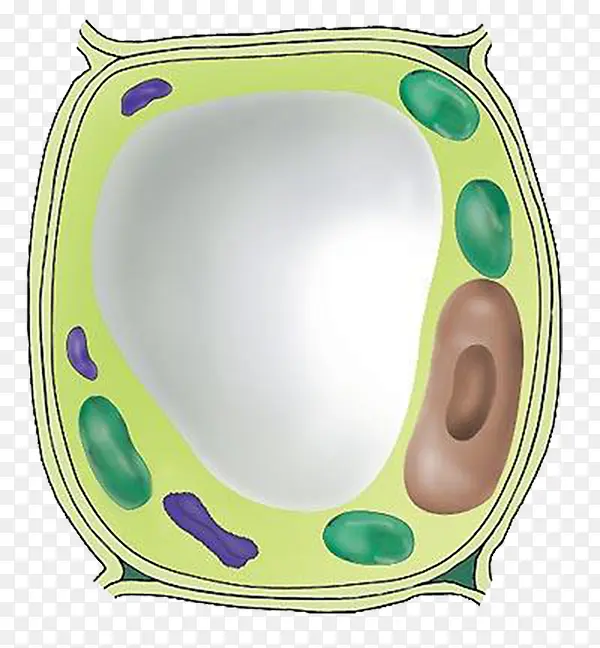 绿色医学细胞图形