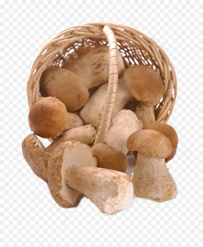 篮框里的蘑菇