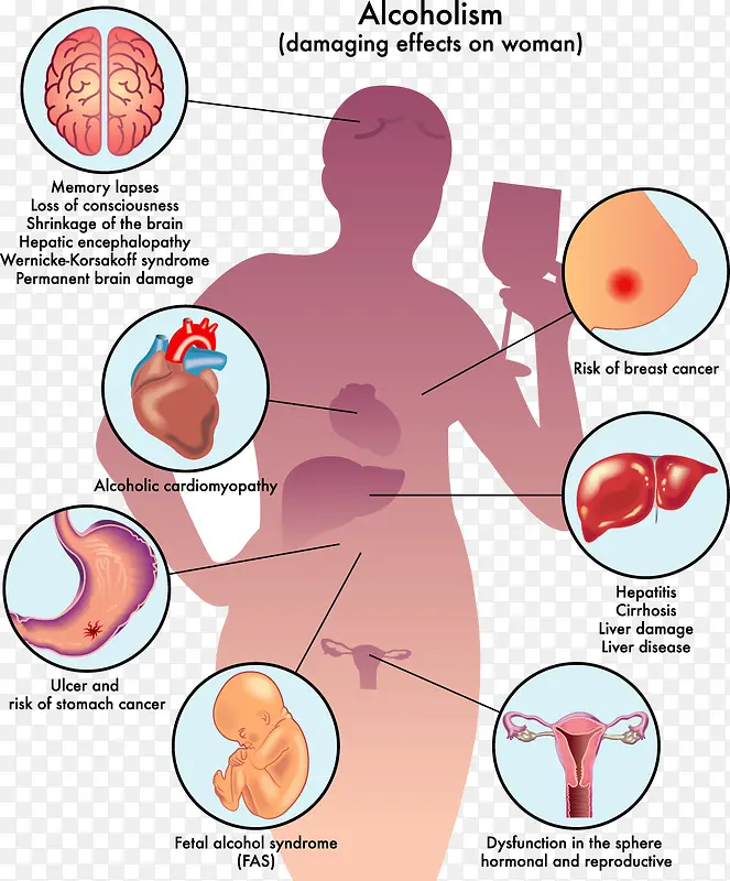 女性身体部位伤害影响分析图
