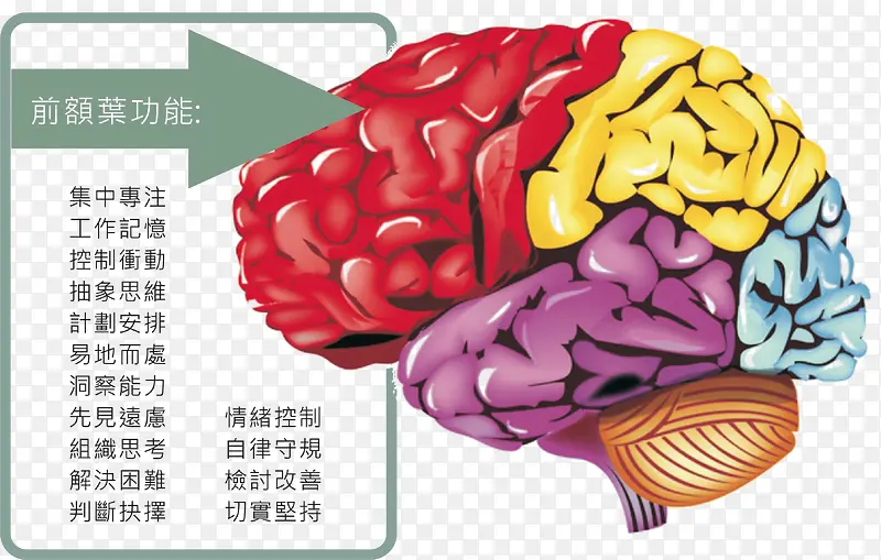 专注力分析