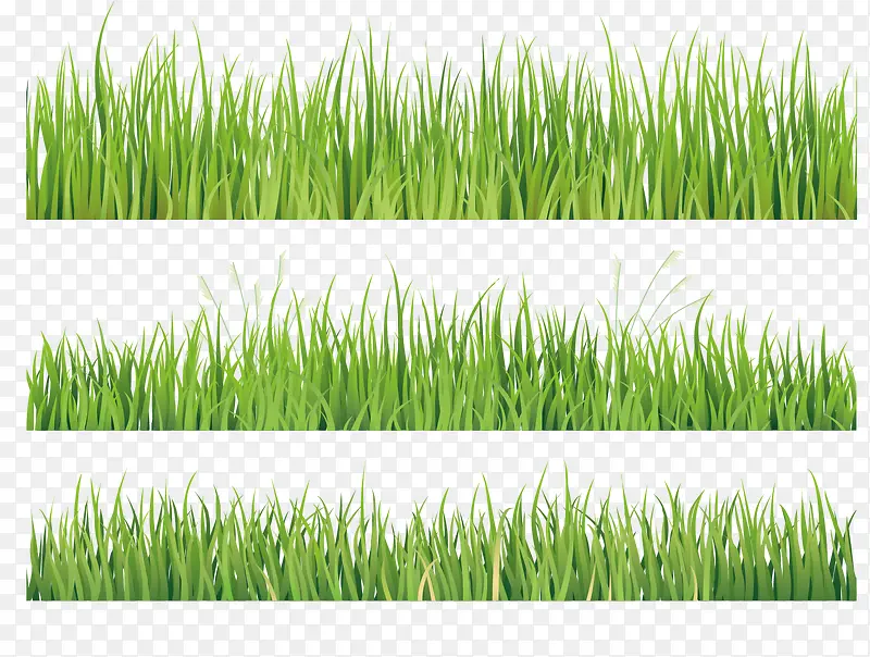 矢量手绘创意绿色植物草地