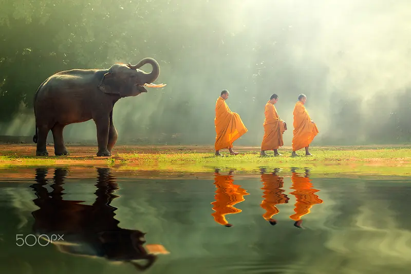 梦幻泰国大象和尚
