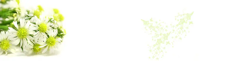 淘宝背景banner