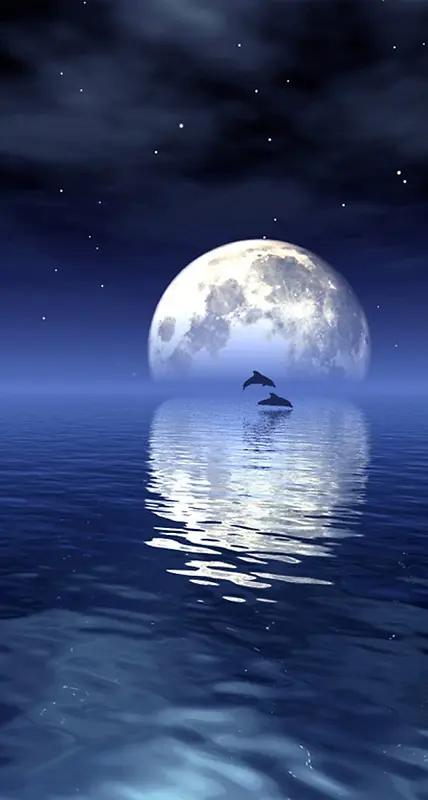 月亮海水
