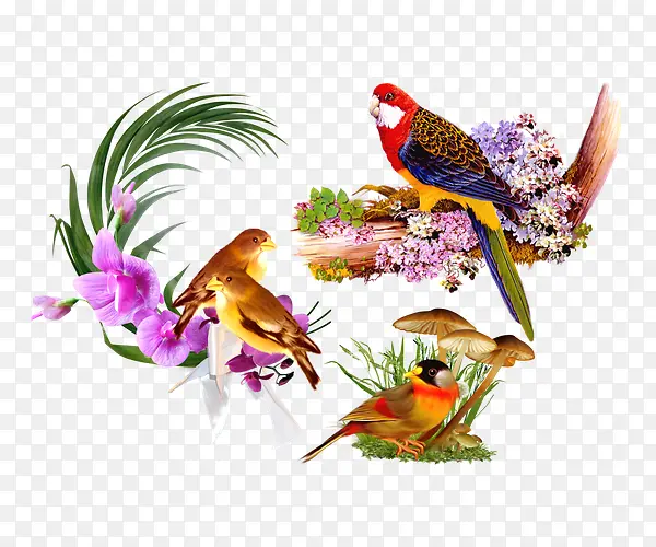 百变鹦鹉花卉装饰静物背景图案