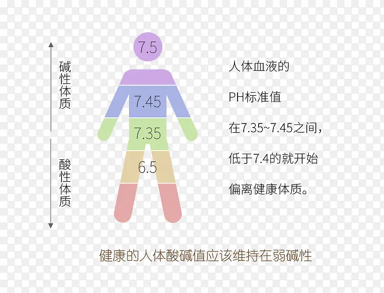 人体酸碱平衡