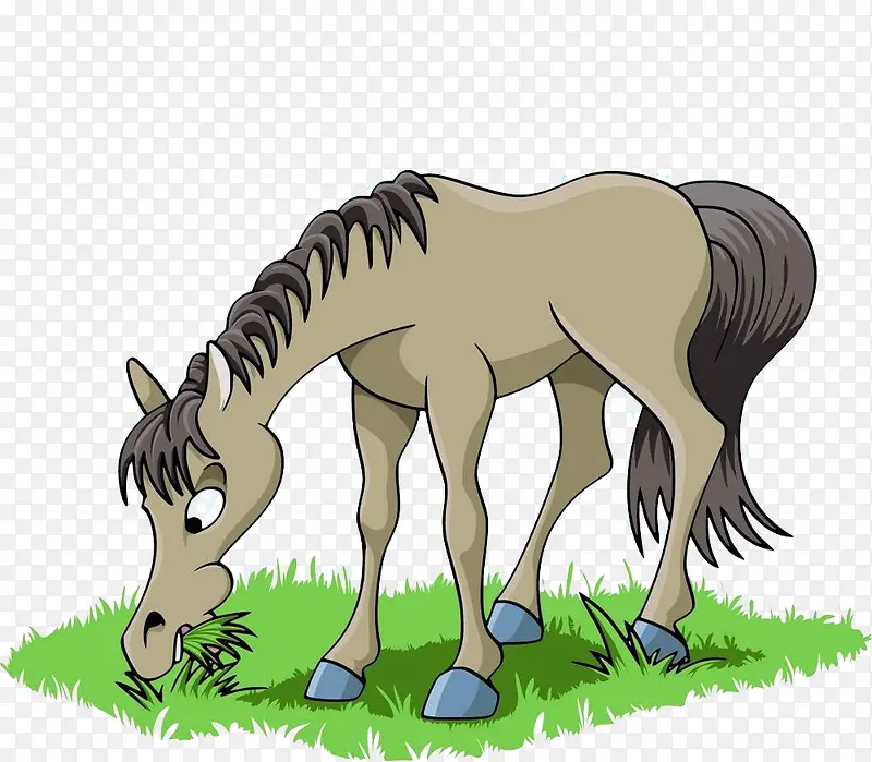 小马吃草