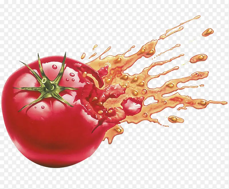 蕃茄矢量图