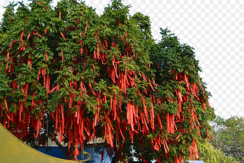 红色的布挂在树上