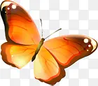 橙色守护蝴蝶欧式花纹