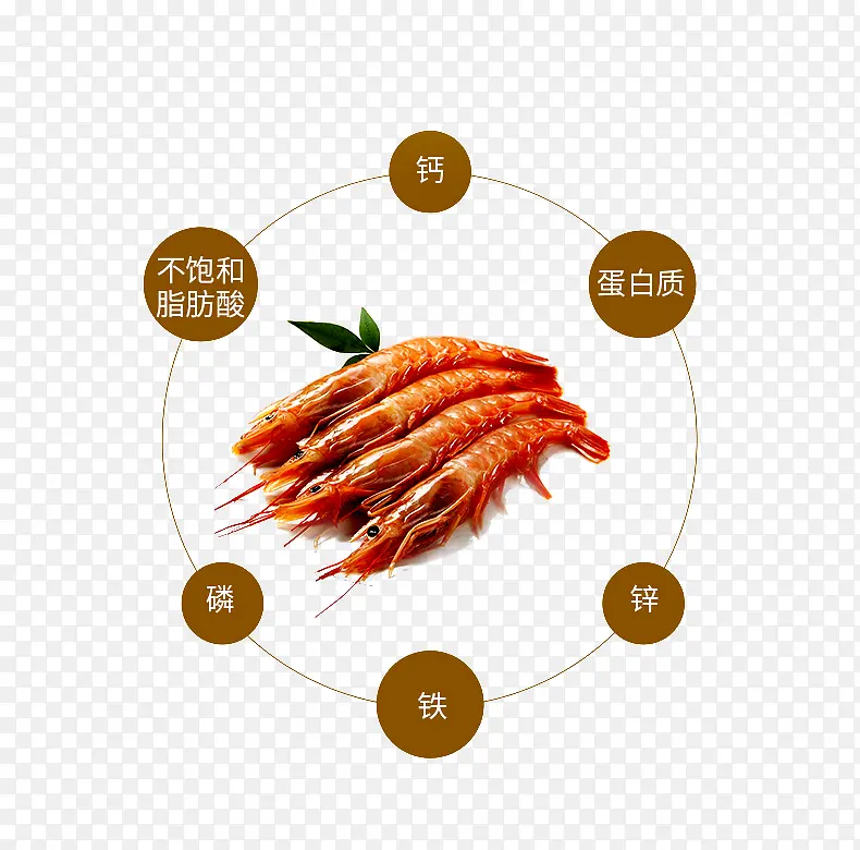 红虾