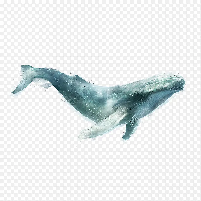 一只蓝色可爱的海洋生物座头鲸插PNG图片素材下载_图片编号9129725-PNG素材网