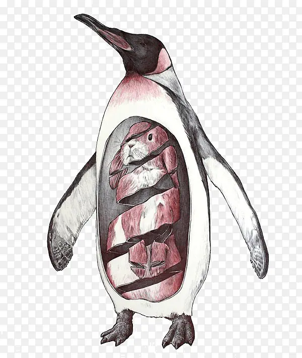 企鹅和兔子创意插画设计