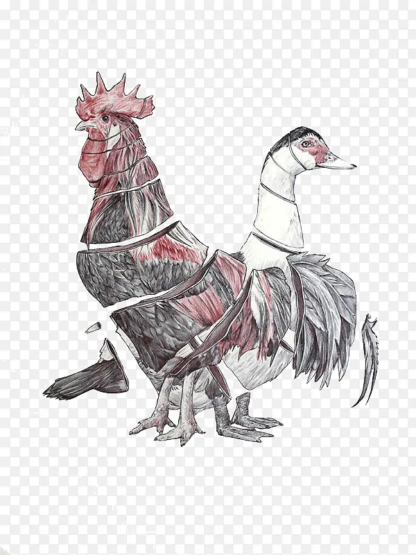 公鸡和鸭子创意插画设计