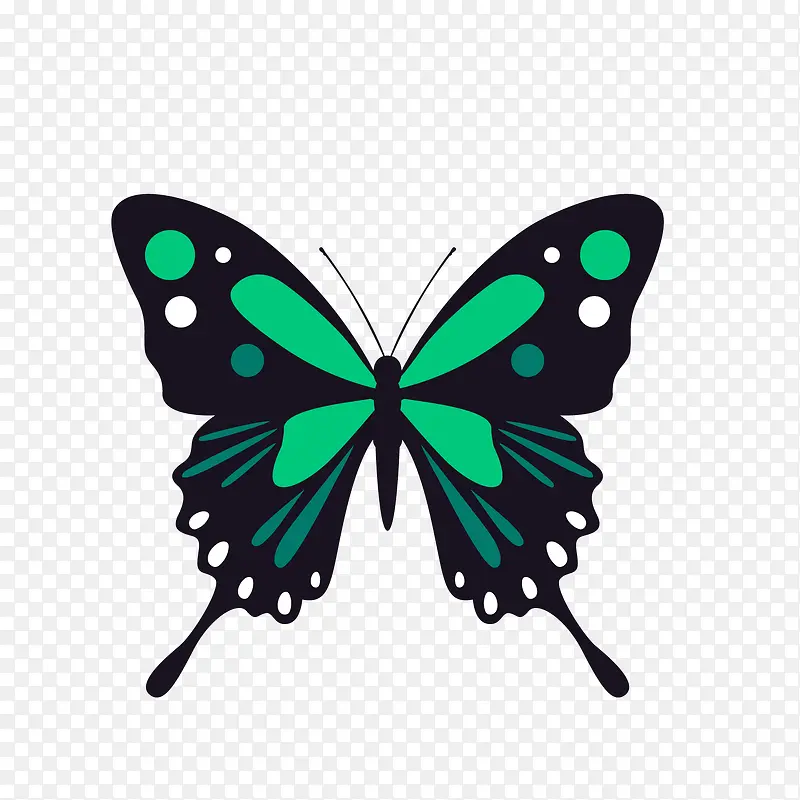 漂亮绿色蝴蝶矢量图
