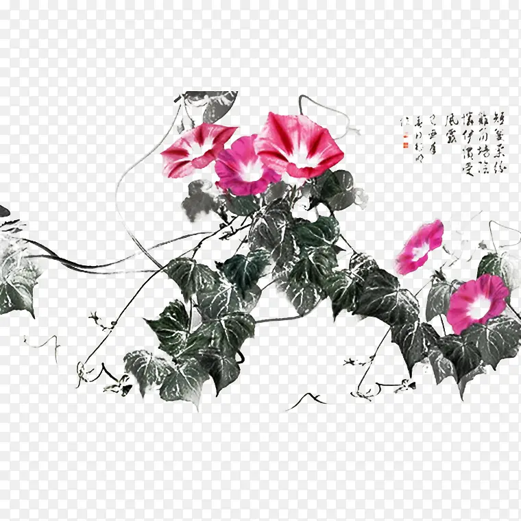 中国风水墨牵牛花藤