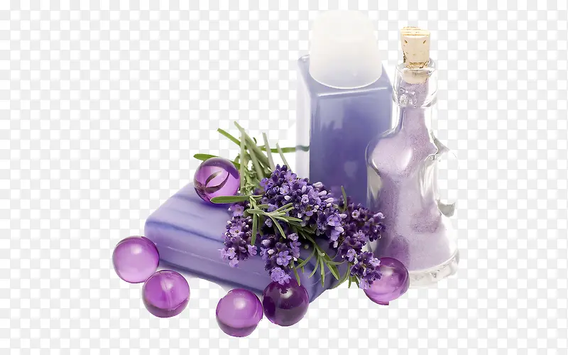 紫色静物