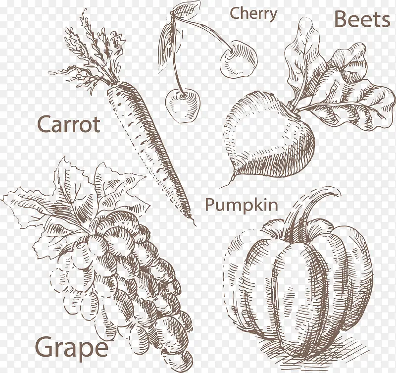 矢量手绘蔬菜和水果
