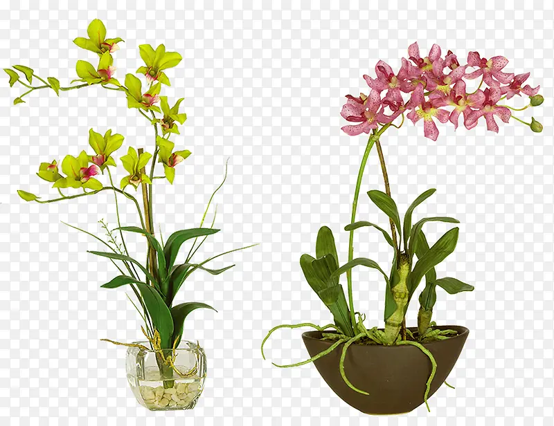 植物盆栽花草景观