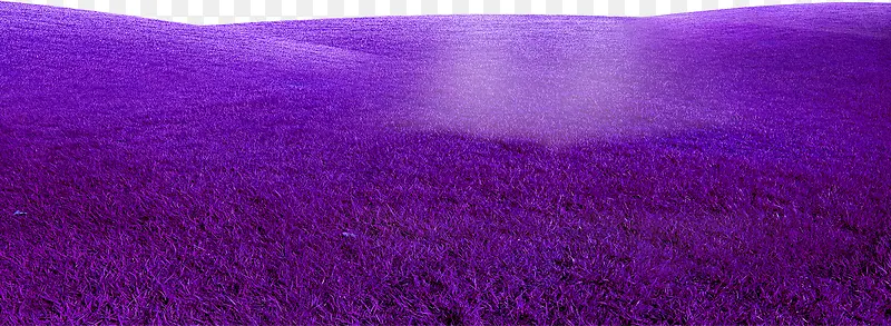 紫色梦幻草地边框纹理