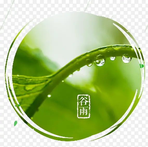 绿色谷雨水滴海报设计