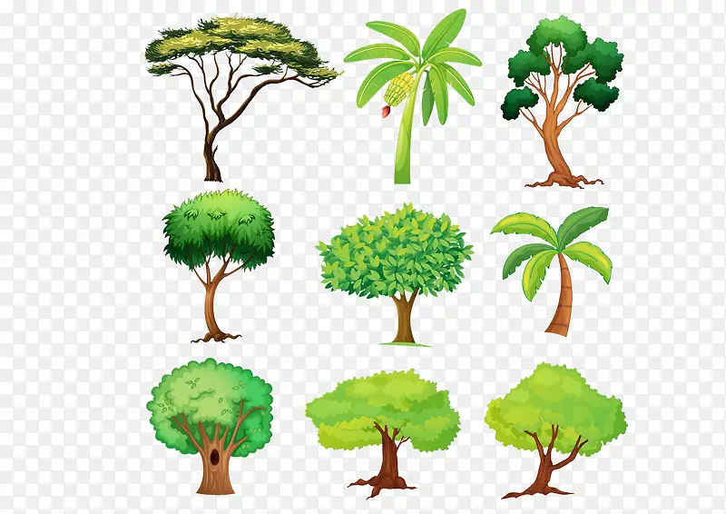 各种种类的树