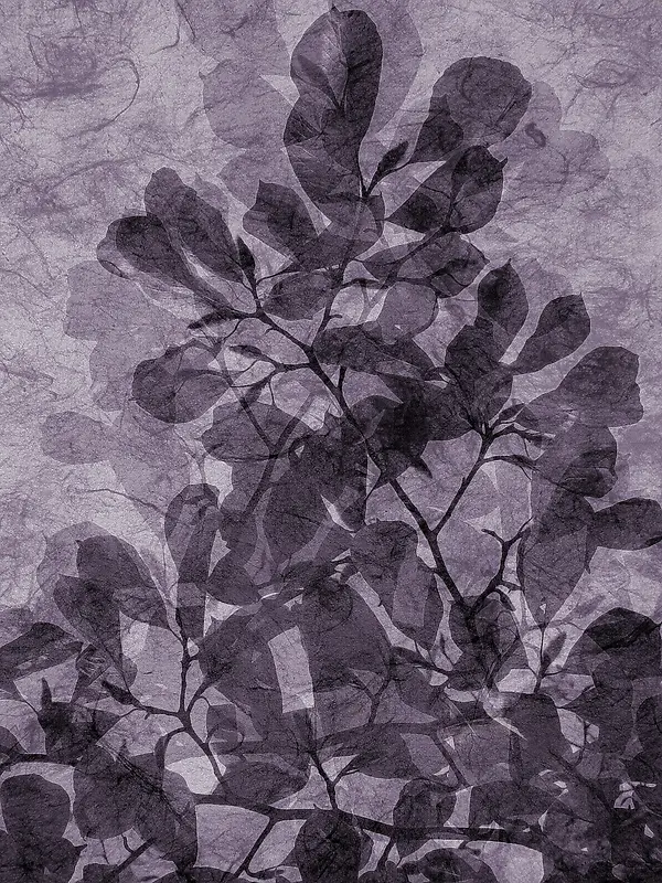 紫色枝叶背景