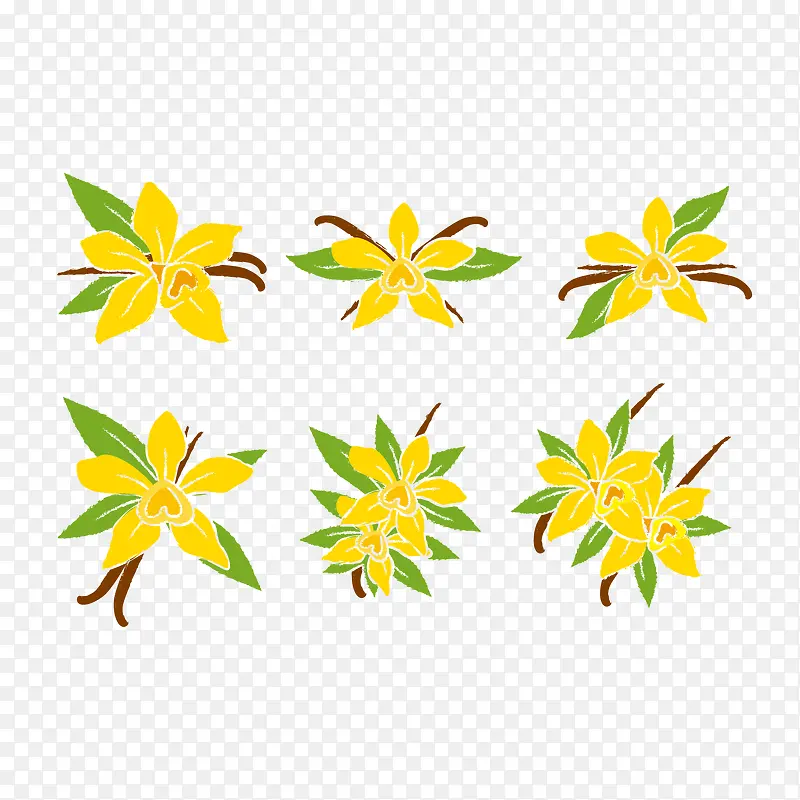矢量图手绘黄花树