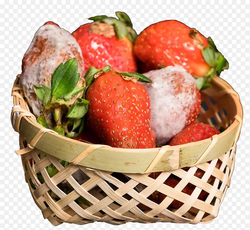 发霉的草莓