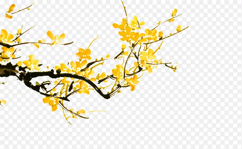 黄色树枝花朵