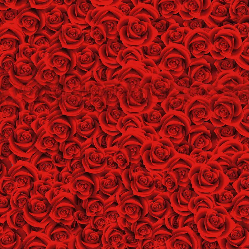 红色密集玫瑰背景设计
