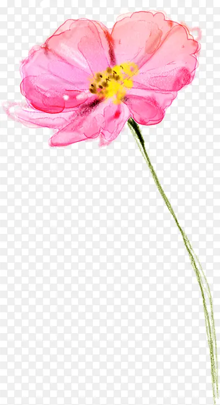 手绘粉色花卉水彩画展板